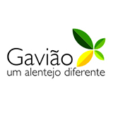 Gavião